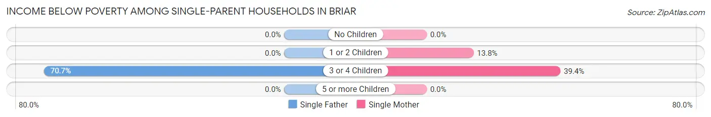 Income Below Poverty Among Single-Parent Households in Briar