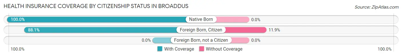 Health Insurance Coverage by Citizenship Status in Broaddus