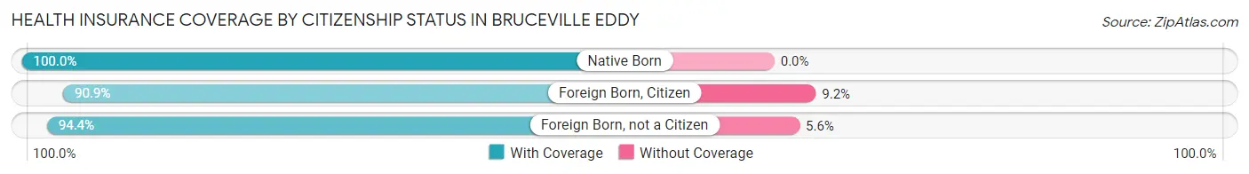 Health Insurance Coverage by Citizenship Status in Bruceville Eddy
