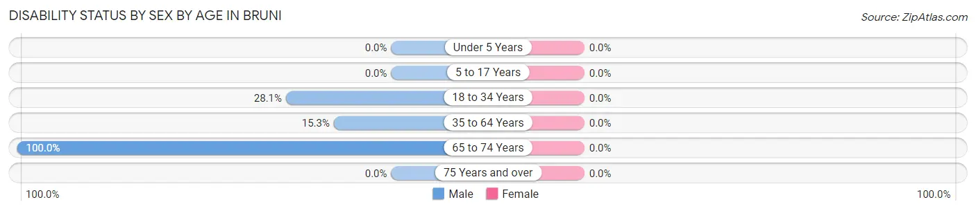 Disability Status by Sex by Age in Bruni