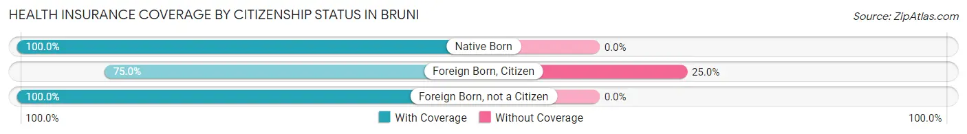 Health Insurance Coverage by Citizenship Status in Bruni