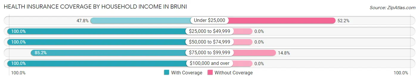 Health Insurance Coverage by Household Income in Bruni