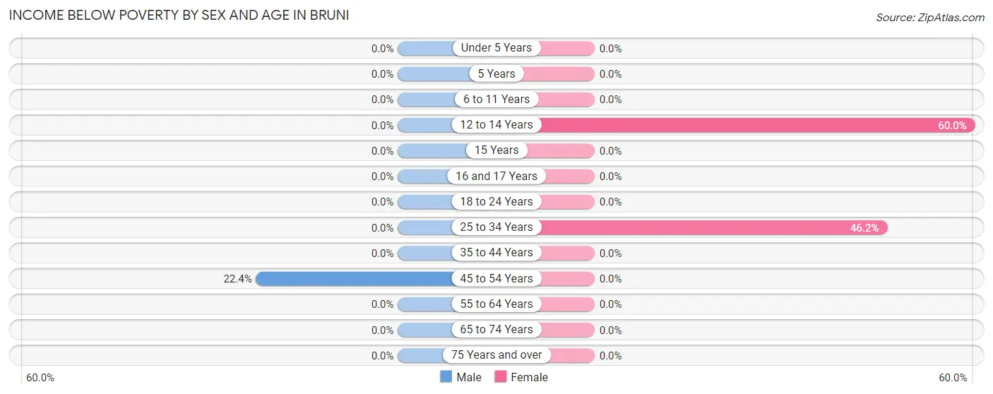 Income Below Poverty by Sex and Age in Bruni