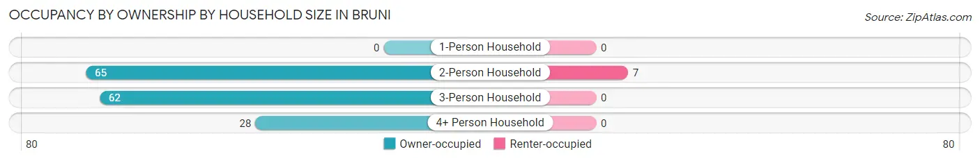 Occupancy by Ownership by Household Size in Bruni
