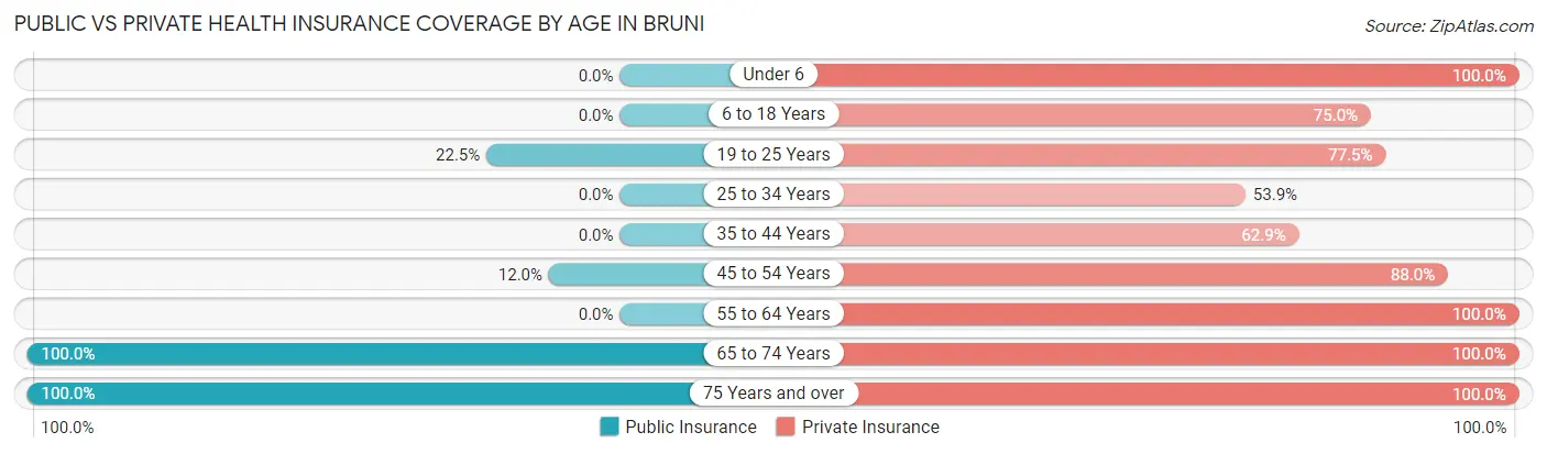 Public vs Private Health Insurance Coverage by Age in Bruni