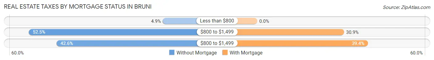 Real Estate Taxes by Mortgage Status in Bruni