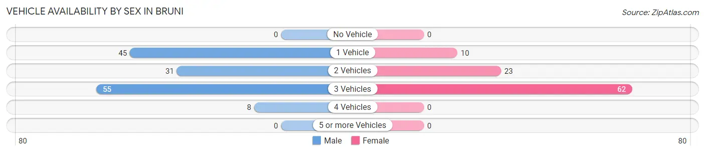 Vehicle Availability by Sex in Bruni
