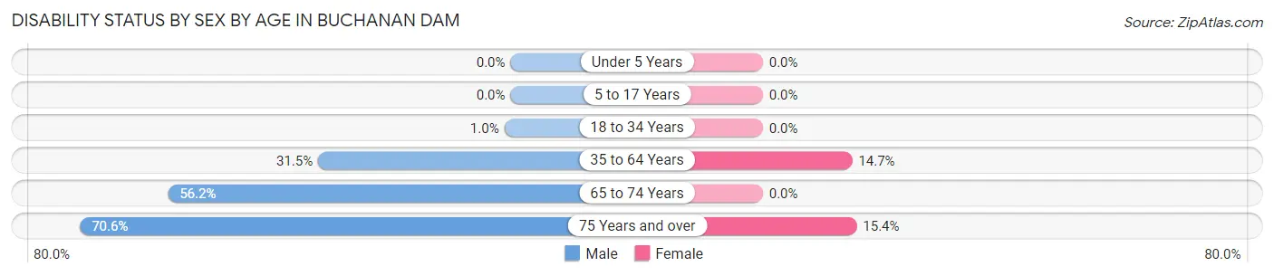 Disability Status by Sex by Age in Buchanan Dam