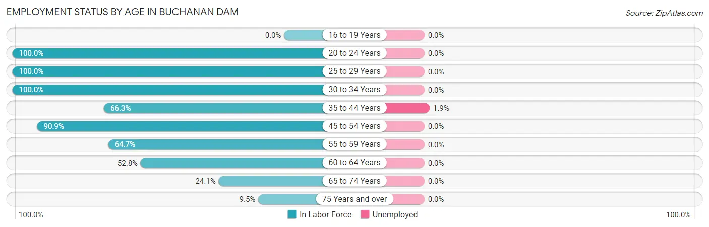 Employment Status by Age in Buchanan Dam