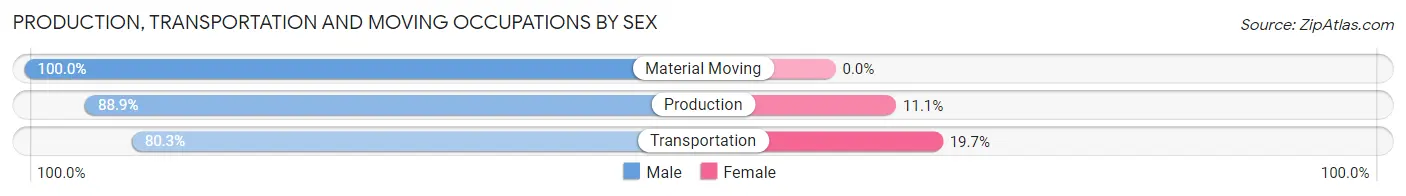 Production, Transportation and Moving Occupations by Sex in Buchanan Dam