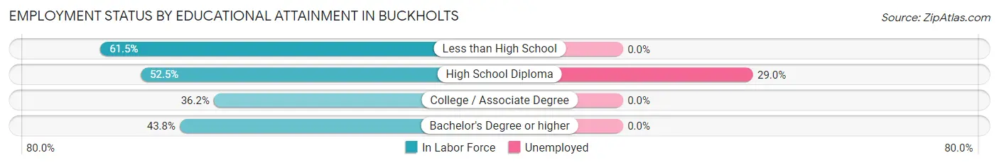 Employment Status by Educational Attainment in Buckholts