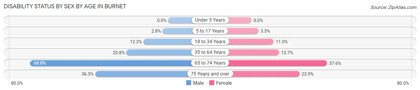 Disability Status by Sex by Age in Burnet