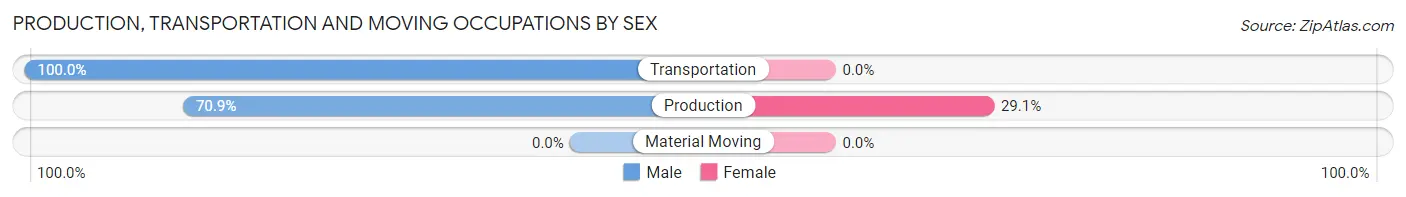 Production, Transportation and Moving Occupations by Sex in Burnet