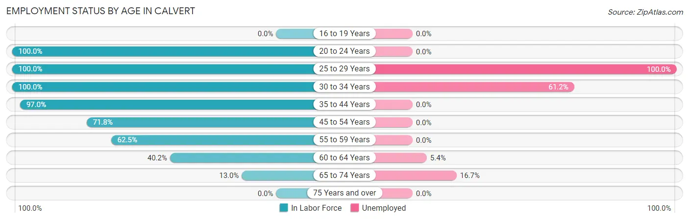 Employment Status by Age in Calvert