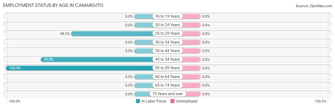 Employment Status by Age in Camargito