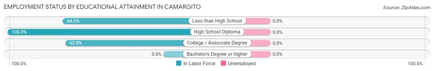 Employment Status by Educational Attainment in Camargito