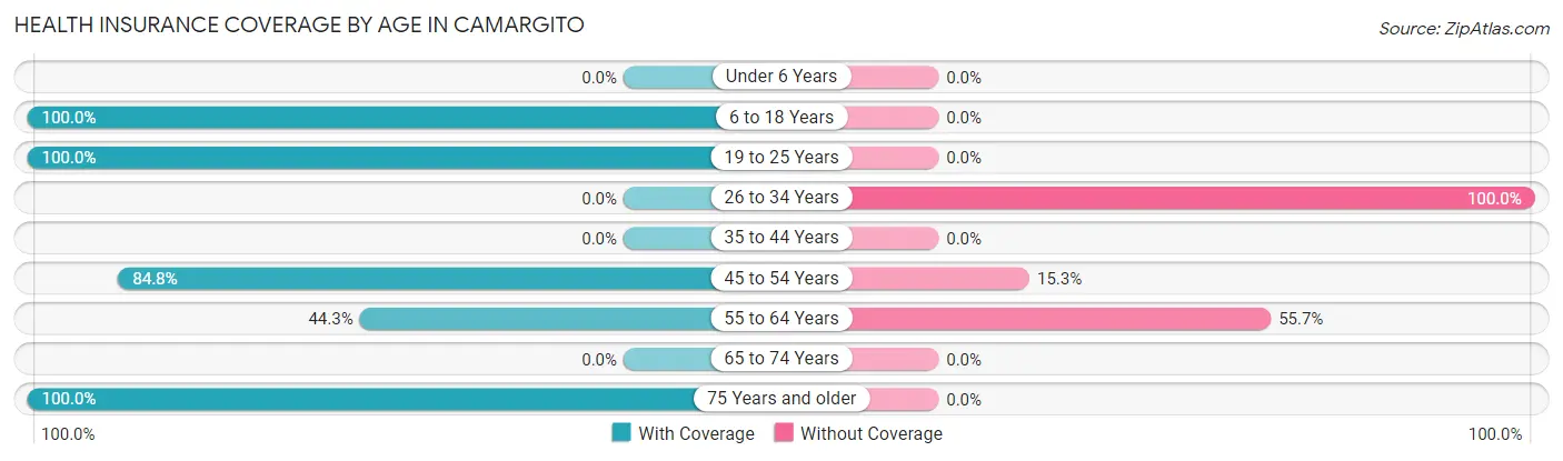 Health Insurance Coverage by Age in Camargito