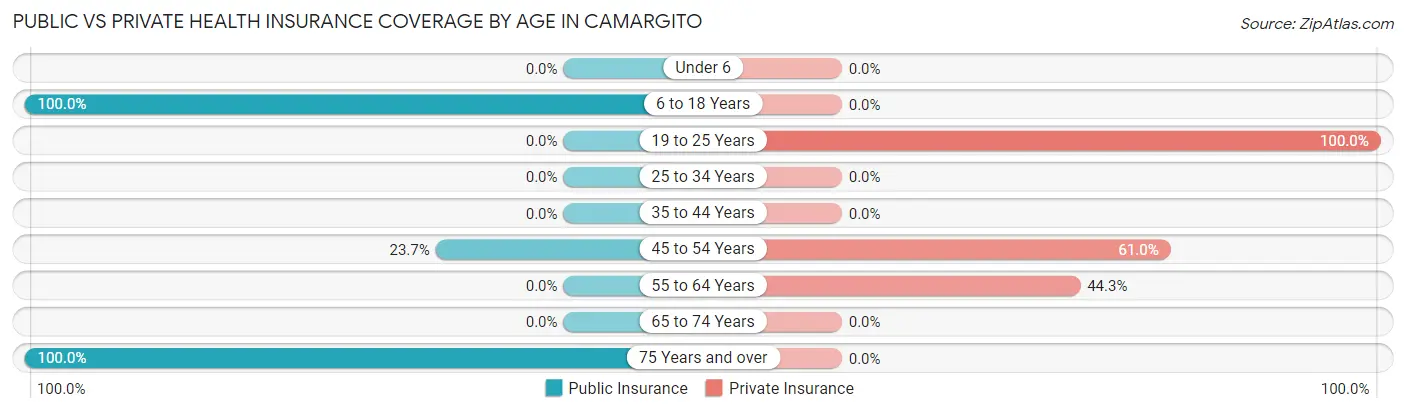 Public vs Private Health Insurance Coverage by Age in Camargito