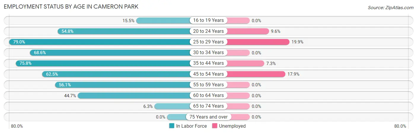 Employment Status by Age in Cameron Park