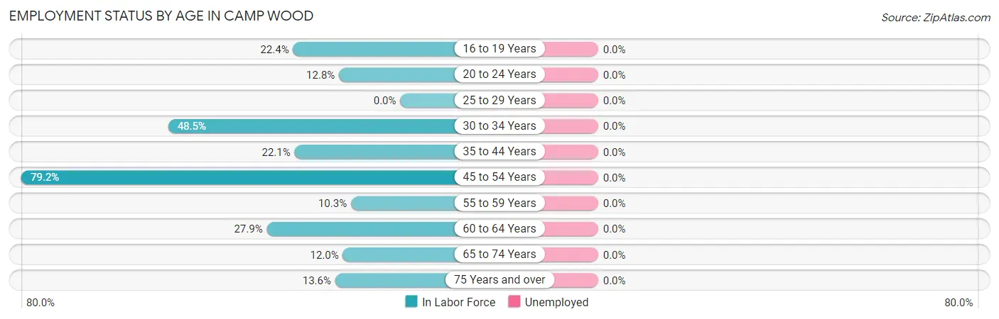 Employment Status by Age in Camp Wood
