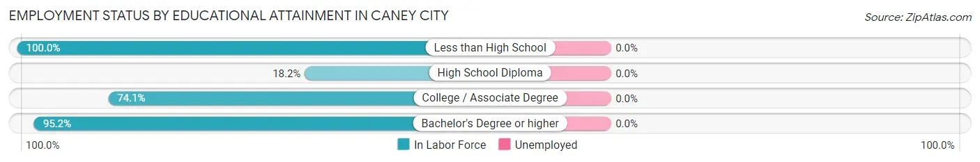 Employment Status by Educational Attainment in Caney City