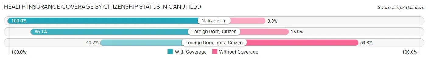 Health Insurance Coverage by Citizenship Status in Canutillo