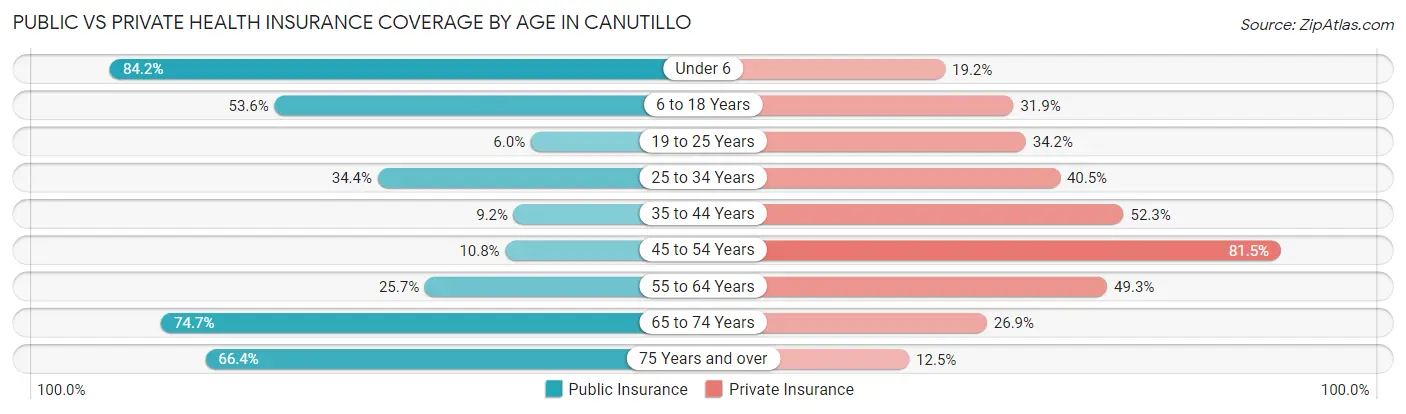Public vs Private Health Insurance Coverage by Age in Canutillo