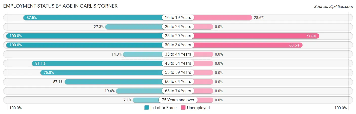 Employment Status by Age in Carl s Corner