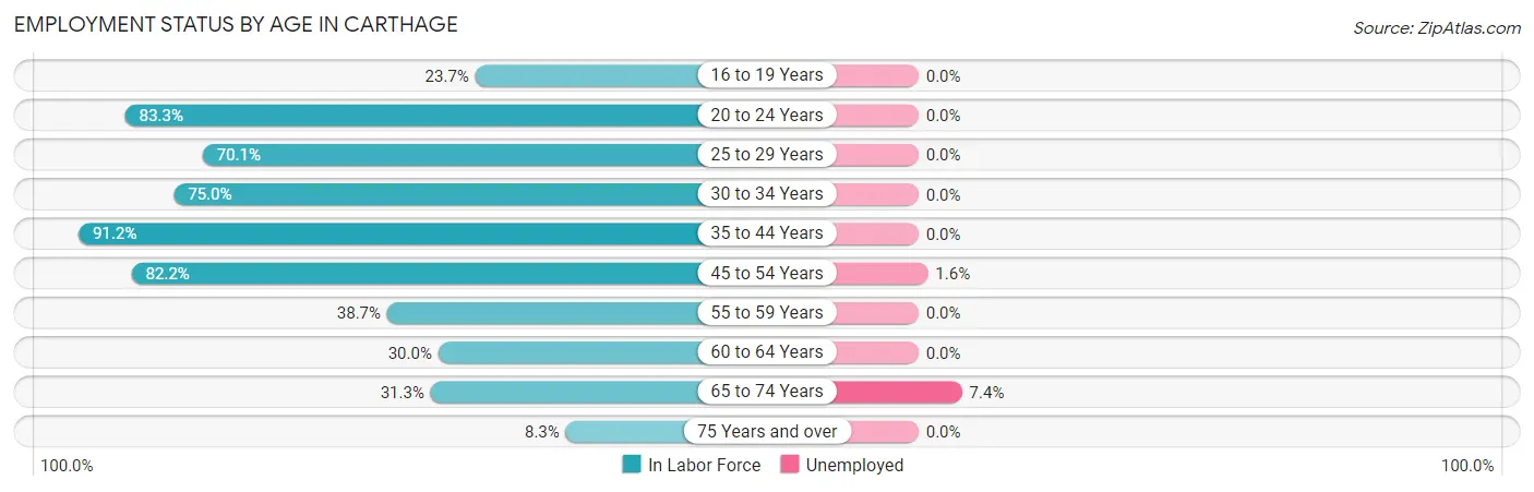 Employment Status by Age in Carthage