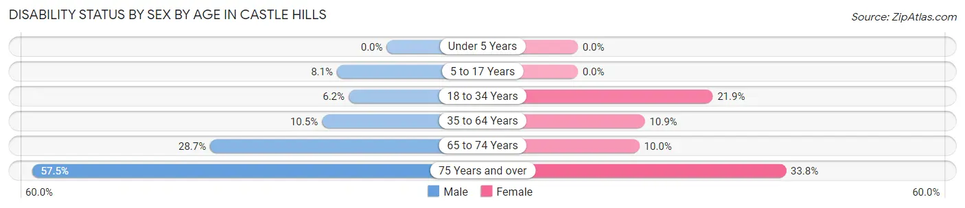Disability Status by Sex by Age in Castle Hills