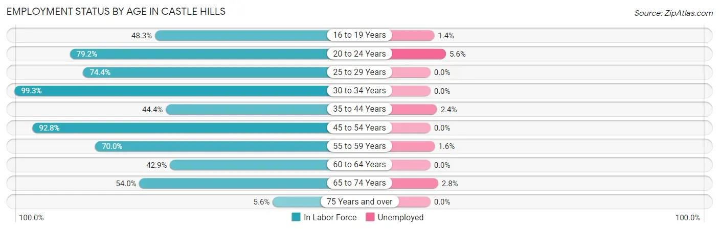 Employment Status by Age in Castle Hills