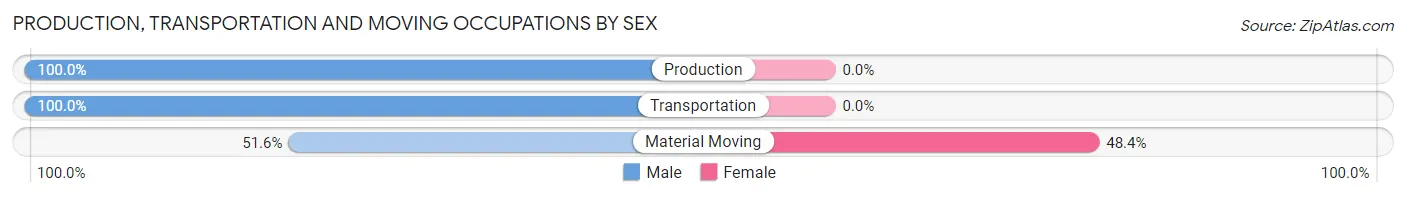 Production, Transportation and Moving Occupations by Sex in Castle Hills