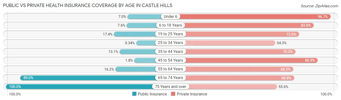Public vs Private Health Insurance Coverage by Age in Castle Hills