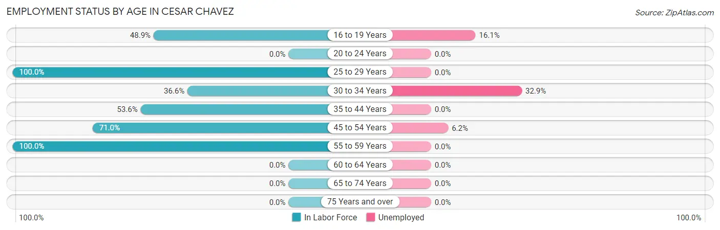 Employment Status by Age in Cesar Chavez
