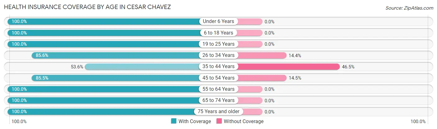 Health Insurance Coverage by Age in Cesar Chavez