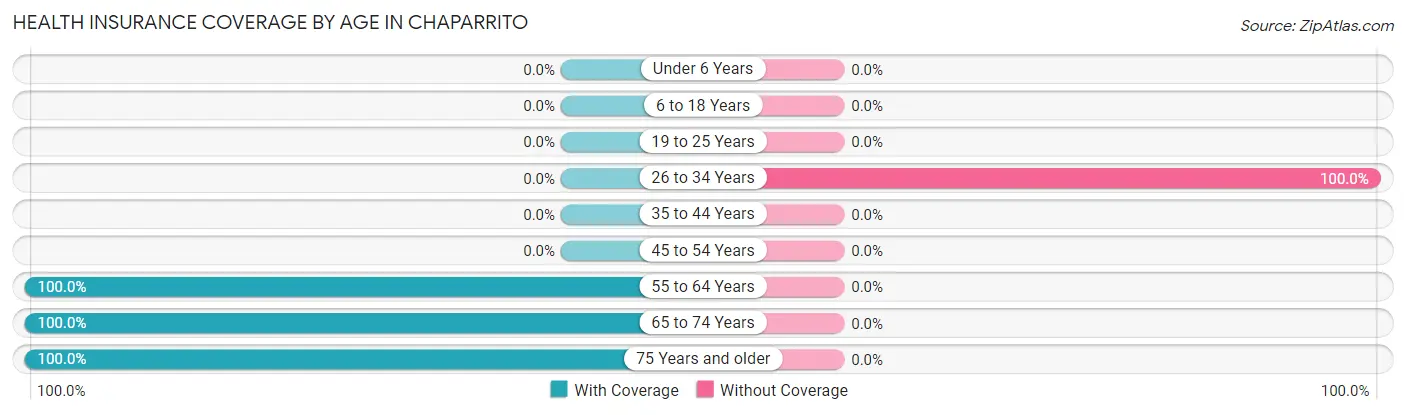 Health Insurance Coverage by Age in Chaparrito