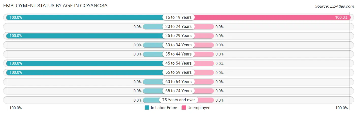 Employment Status by Age in Coyanosa