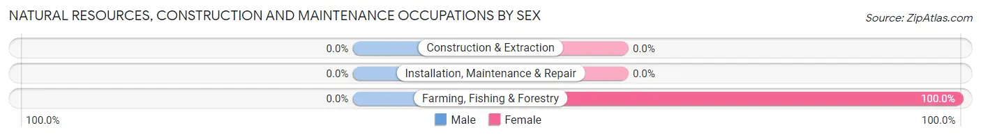 Natural Resources, Construction and Maintenance Occupations by Sex in Coyote Acres