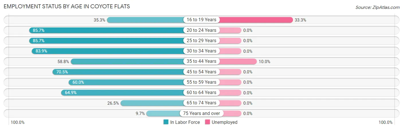 Employment Status by Age in Coyote Flats