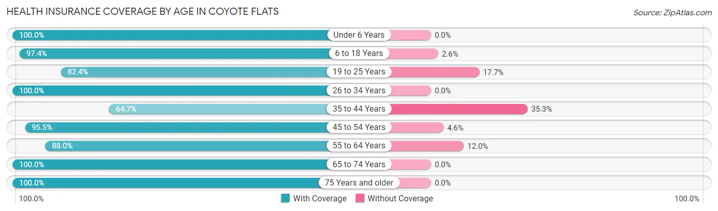 Health Insurance Coverage by Age in Coyote Flats