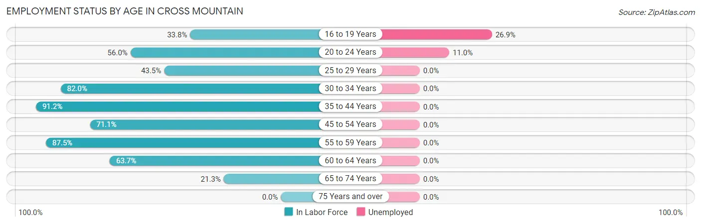 Employment Status by Age in Cross Mountain