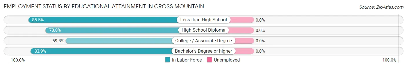 Employment Status by Educational Attainment in Cross Mountain