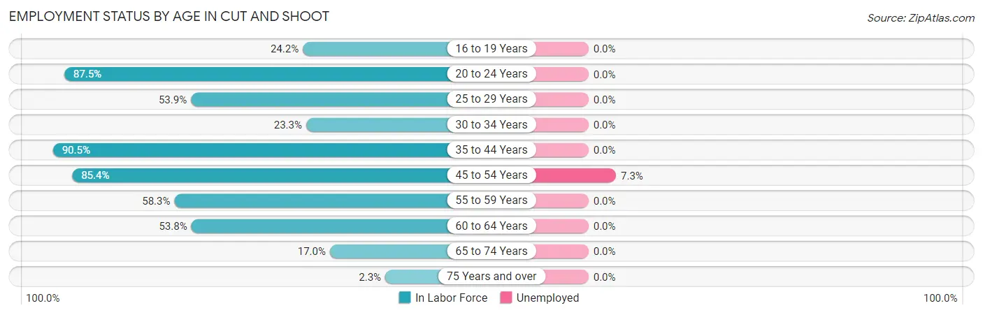 Employment Status by Age in Cut and Shoot