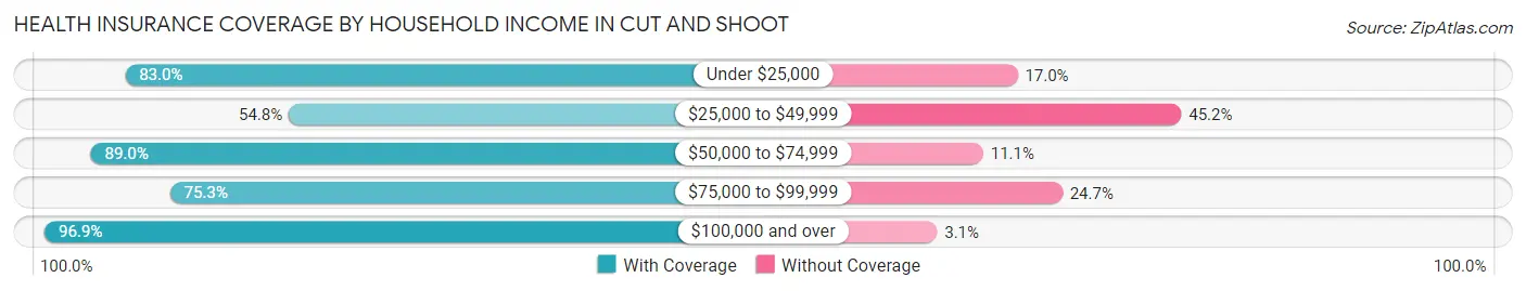 Health Insurance Coverage by Household Income in Cut and Shoot