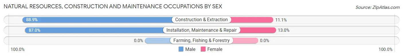 Natural Resources, Construction and Maintenance Occupations by Sex in Deport