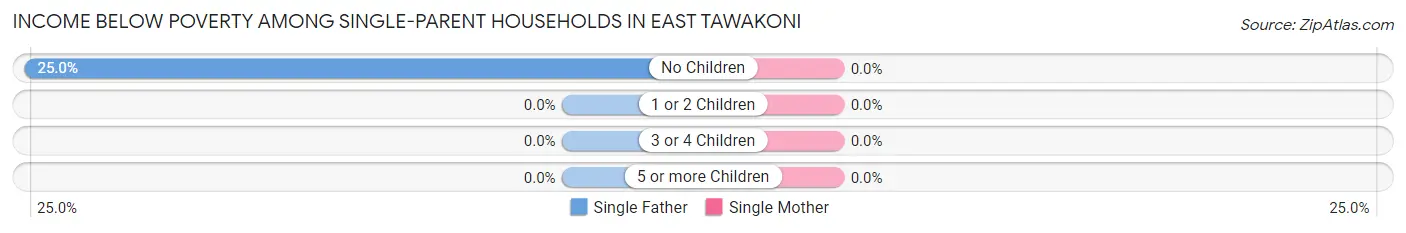Income Below Poverty Among Single-Parent Households in East Tawakoni