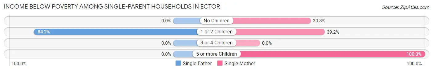 Income Below Poverty Among Single-Parent Households in Ector