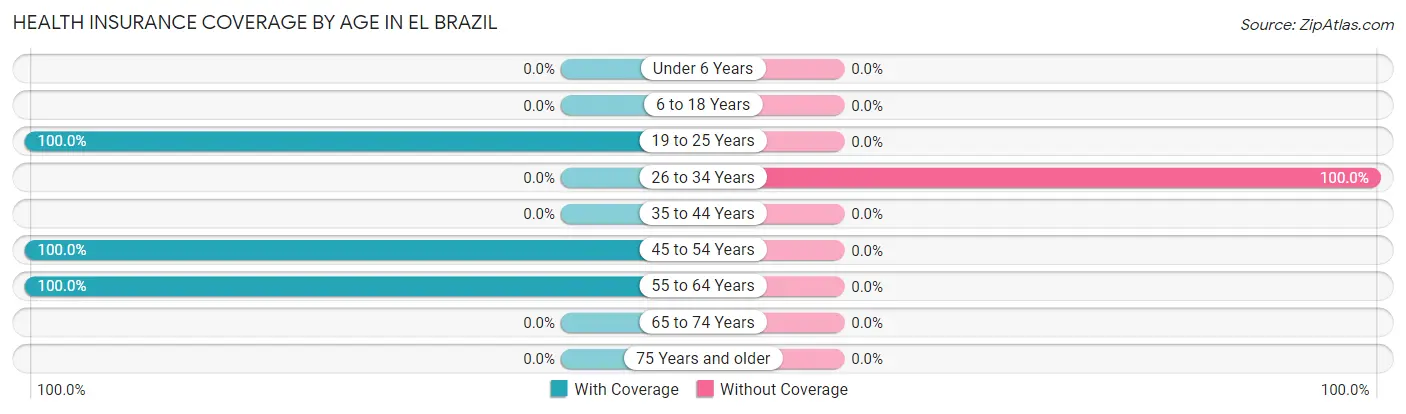 Health Insurance Coverage by Age in El Brazil