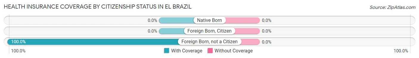 Health Insurance Coverage by Citizenship Status in El Brazil