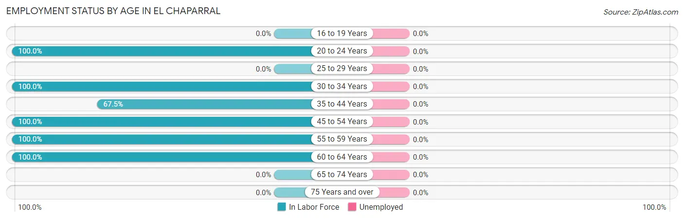 Employment Status by Age in El Chaparral